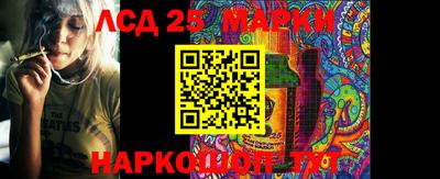 гидропоника Азнакаево