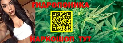 ПСИЛОЦИБИНОВЫЕ ГРИБЫ Абинск